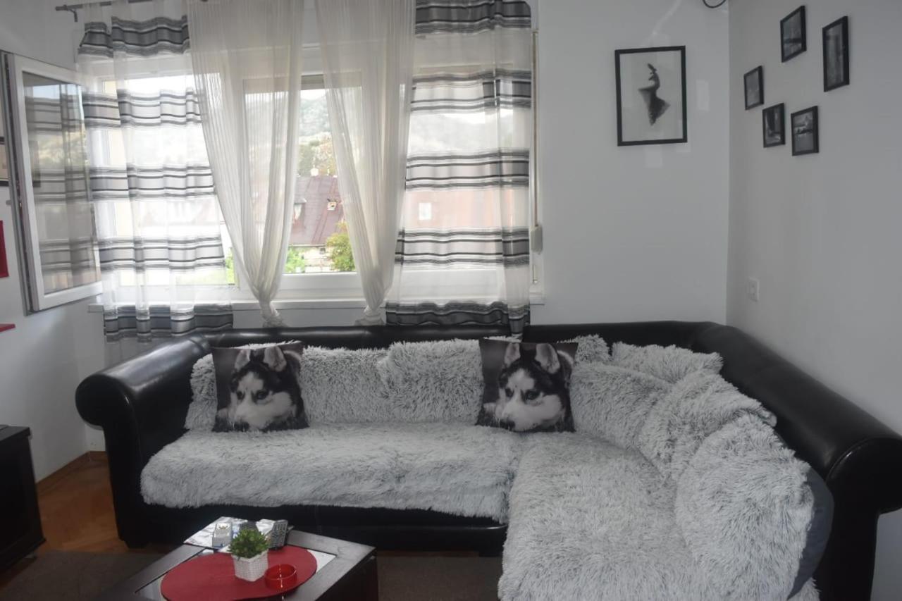 Apartment Tea Cetinje Kültér fotó
